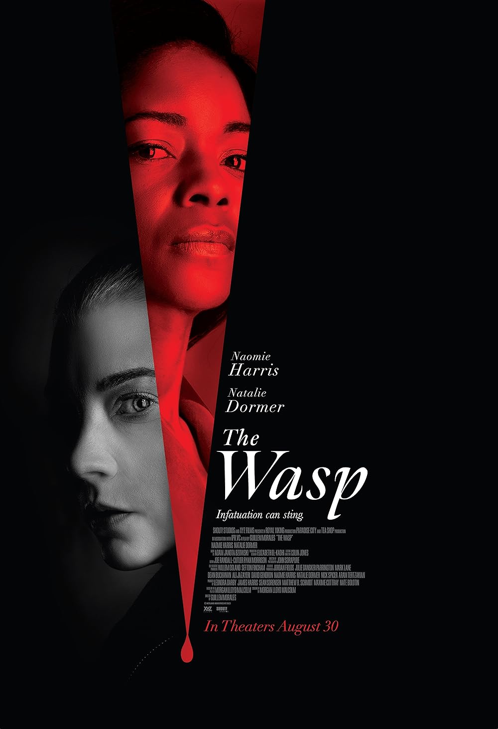 دانلود فیلم زنبور The Wasp 2024 با دوبله فارسی