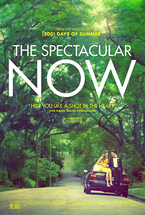 دانلود فیلم اکنون شگفت انگیز The Spectacular Now 2013 دوبله فارسی