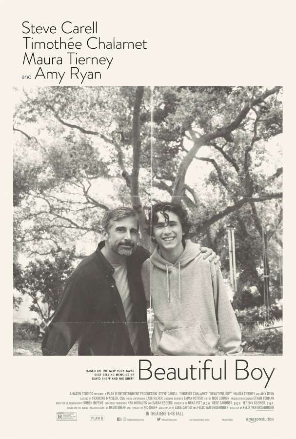 دانلود فیلم پسر زیبا Beautiful Boy 2018 دوبله فارسی